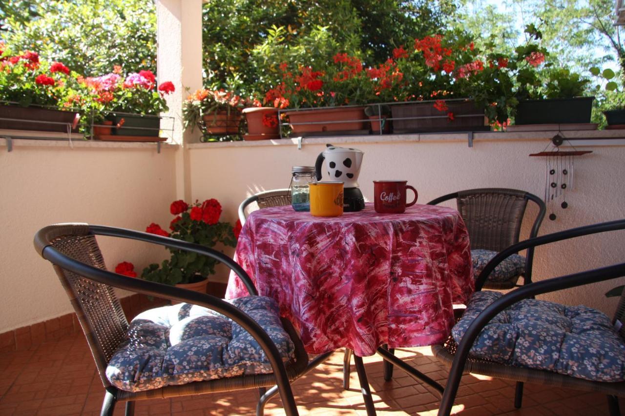 Apartman Rino Bašanija Exterior foto